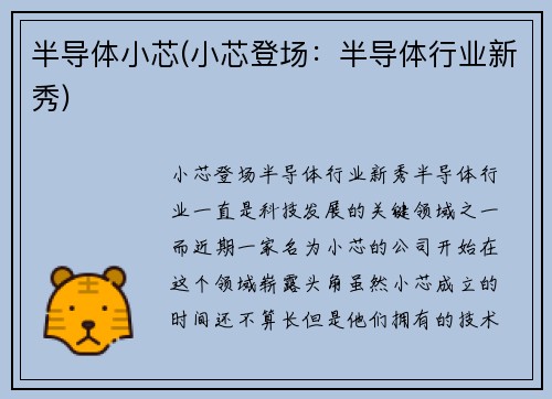 半导体小芯(小芯登场：半导体行业新秀)